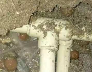 那坡测漏水多少钱