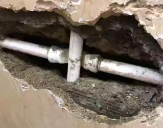 那坡测漏水哪家好