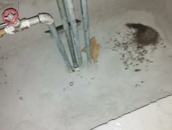 那坡卫生间测漏水价格明细