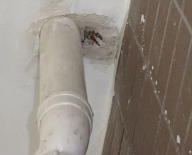 那坡漏水检测哪家好